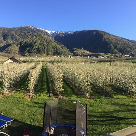 Ca' Marchesi Apartments Sernio Dış mekan fotoğraf