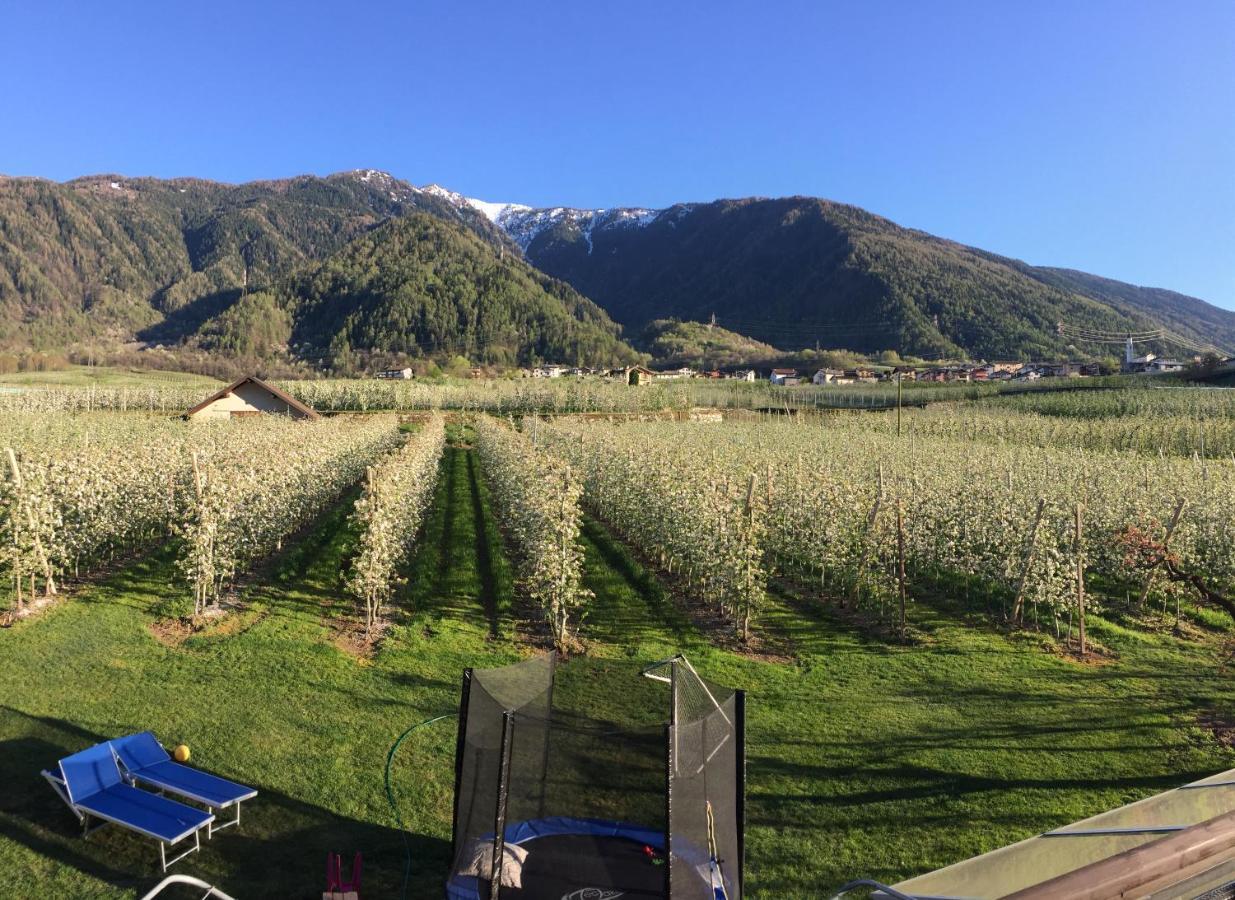 Ca' Marchesi Apartments Sernio Dış mekan fotoğraf