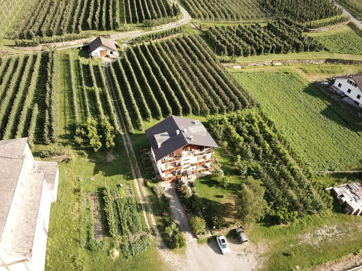 Ca' Marchesi Apartments Sernio Dış mekan fotoğraf