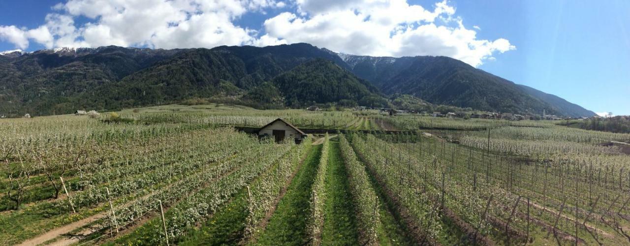 Ca' Marchesi Apartments Sernio Dış mekan fotoğraf